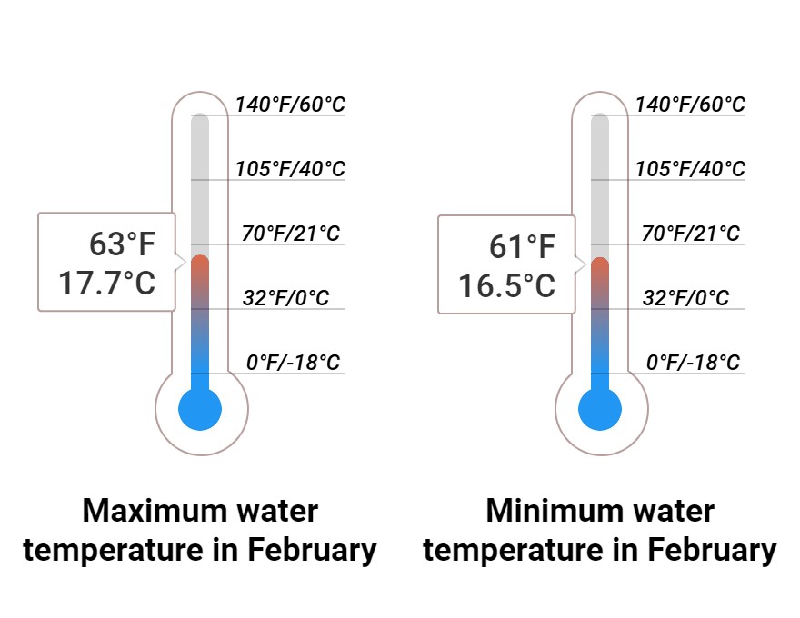 Average Sea temperature